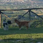 Le Giare * Gubbio